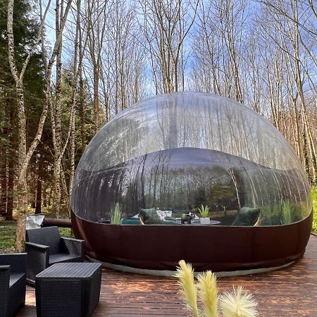 Logement Insolite "Bubble Jungle" Saint-Évarzec Eksteriør billede