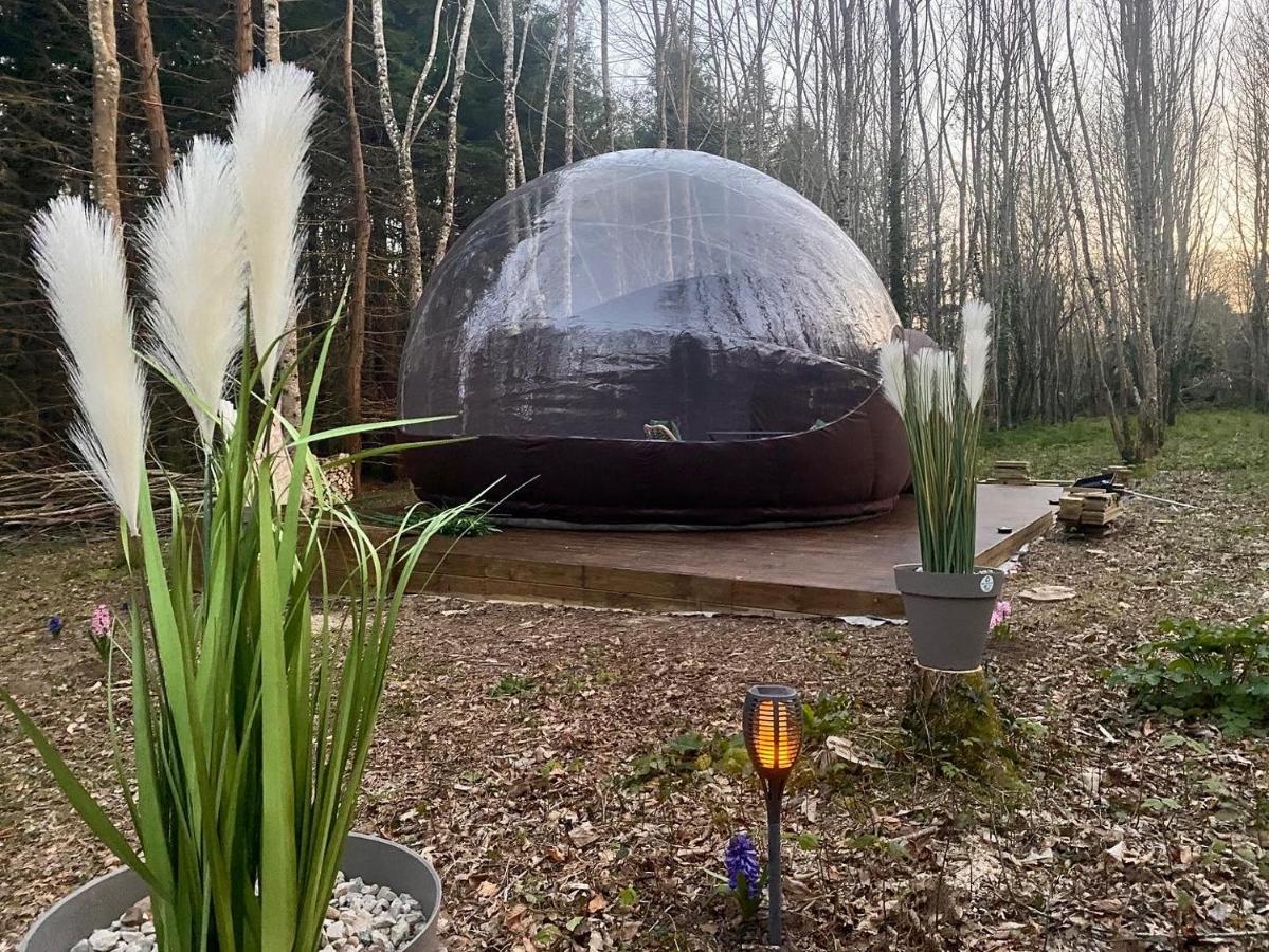Logement Insolite "Bubble Jungle" Saint-Évarzec Eksteriør billede