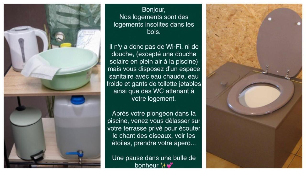 Logement Insolite "Bubble Jungle" Saint-Évarzec Eksteriør billede